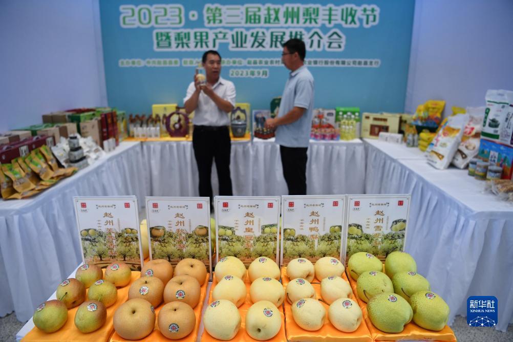 澳门游戏平台注册网站